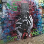 Foto von Amy Weingart