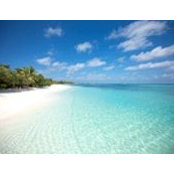 Caroline Morasse's photo