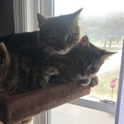Joseph Michaels's photo