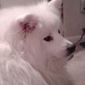 D.d. Sabourin's photo