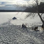Dorla Mayer's photo