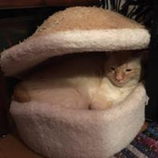 Kim Wombles's photo
