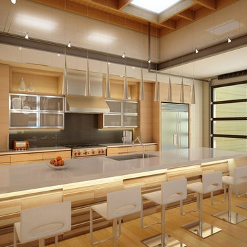 MODERN DREAM HOME