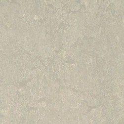 Forbo - Forbo Marmoleum Modular, Concrete - T3136, 20" x 20" - Flooring