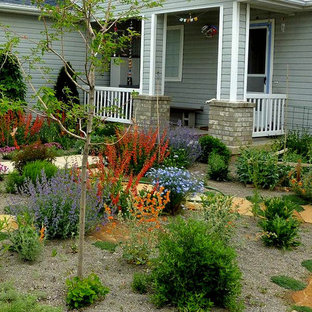 Dwarf Alberta Spruce Landscaping Ideas | Houzz