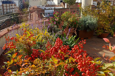 Ejemplo de terraza grande en azotea con jardín de macetas