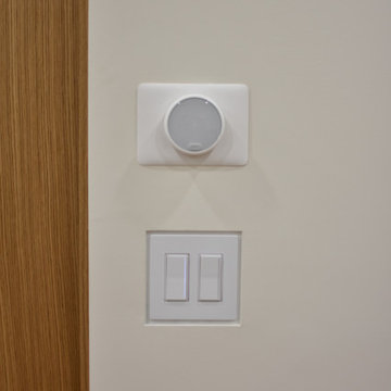 Recessed Switches