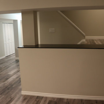 Ashford Project: Basement Renovation