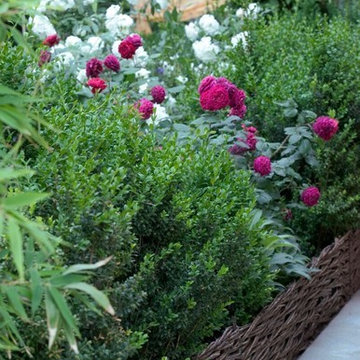 Un giardino in collina.