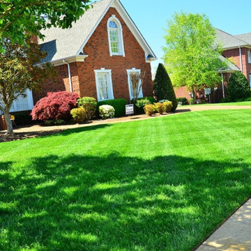 Side house cut