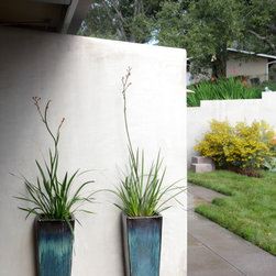 IdealMow Lawns:  Carex Pansa - Garden Statues And Yard Art