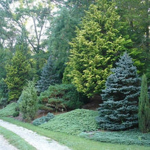 Landscape Ideas