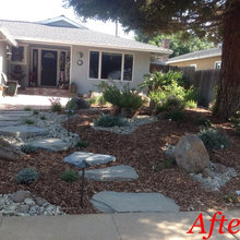 2015 Landscape Project