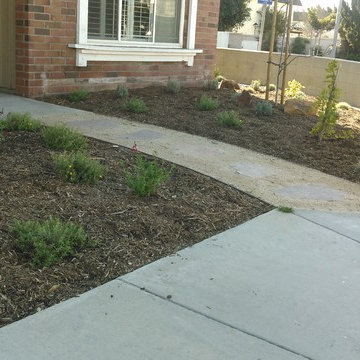 California Native Small Front Yard In Cypress