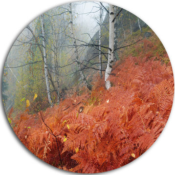Red Fern In Foggy Fall Fay, Landscape Photo Disc Metal Wall Art, 11"