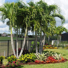 Villas