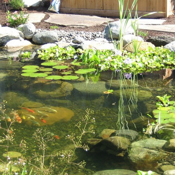 Water Features