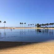 Ziad Soufi's photo