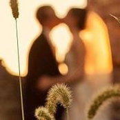 Foto von Matt Whited