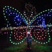Megan Fuller's photo