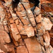 Artemis Jafari's photo