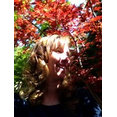 KL Designs Residential Landscape Planning LLC's profile photo