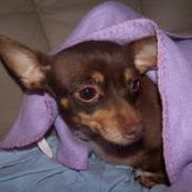 Laurie Lukaszewski's photo