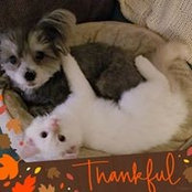 Chrissy Delano's photo