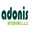 ADONIS INTERIORS LLC