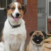Nancy Kuker's photo