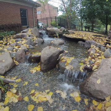 Pond Retrofit