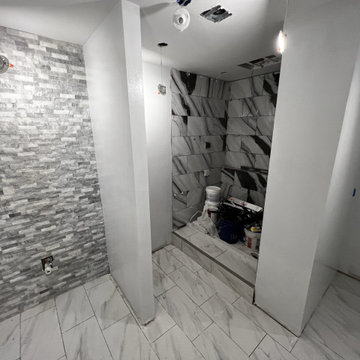 Basement Remodel