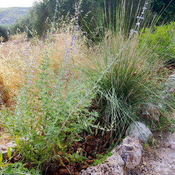 EL JARDÍN SIN RIEGO