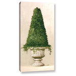 Brushstone - Florentine Topiary II, 18"x36" - Brushtone 'Florentine Topiary II' by 0 Welbyis a beautiful reproduction of a perfectly potted plant. This piece will bring life to any home or office.