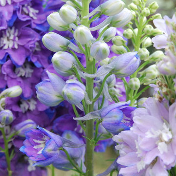 My Gardens