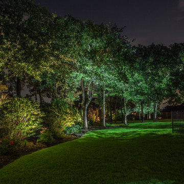 Low Voltage Up Lighting and Moon Lighting- Southlake