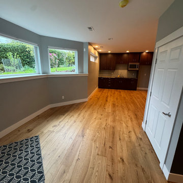 Basement Remodel Eagleridge