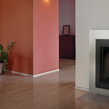 Gas Fireplaces - Traditional Napoleon