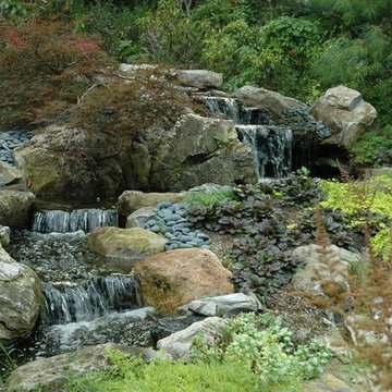 Backyard Landscaping Ideas: Preserving Natural Surroundings