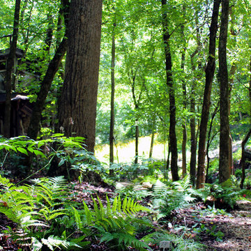 Tenneva Treehouse & Garden