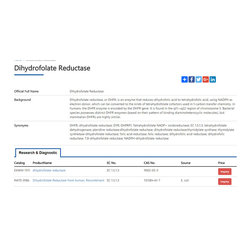 dhfr enzyme - Products