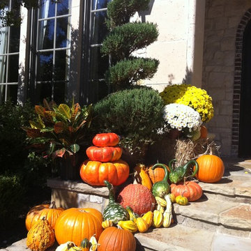 Fall Seasonal Pumpkin Display