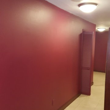Walls, Door and Baseboard Painting