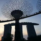 Fred Li's photo