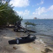 Michael Joseph's photo