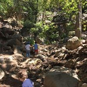 Meg Mcclintock's photo