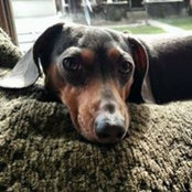 Kris Kline's photo