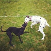 Imogen Pullar's photo