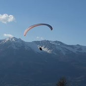 Marie Ceard's photo