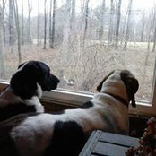 Connie Langham's photo